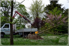 realizzazionegiardini-4