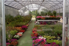 ilgarden-35