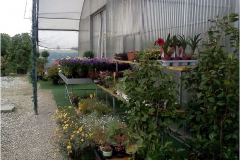 ilgarden-36