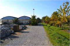 ilgarden-5