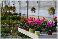 ilgarden-6