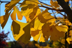 ilvivaio-25