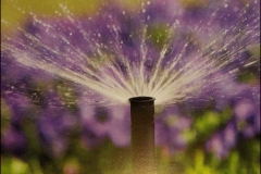 irrigazione-2