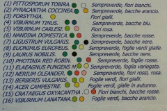 laprogettazione-2