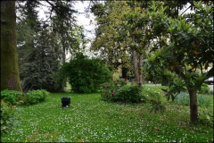 laprogettazione-4