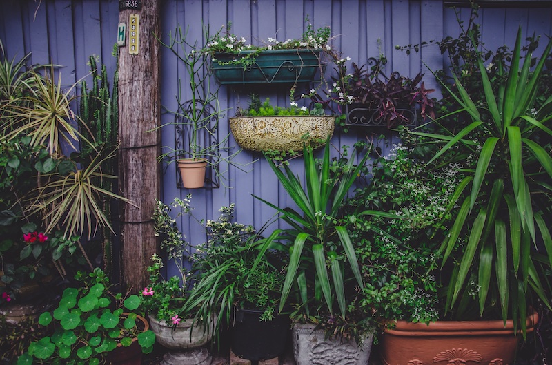 IL GARDEN